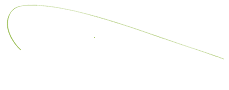 Irish Research Staff Association